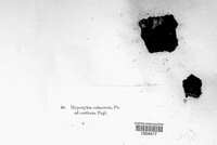 Image Associated With the Occurence